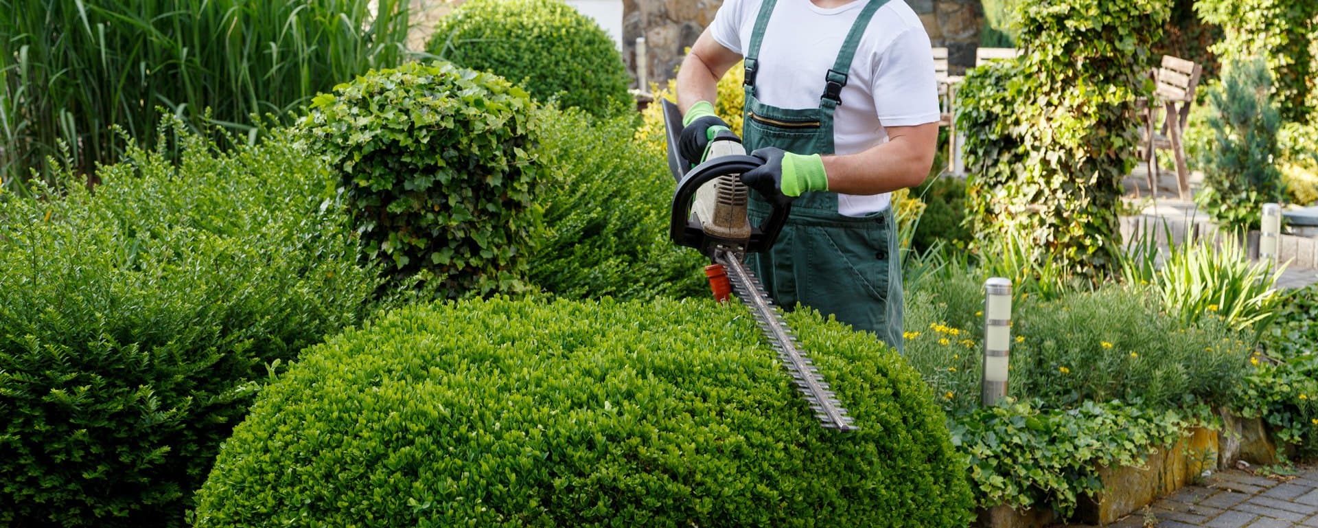 Gardening